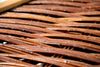 dobar Mülltonnenbox, 2x120l, BxTxH: 125x80x115 cm Bild 4