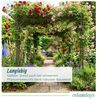 Relaxdays Schwarze Pergola aus Metall Bild 3
