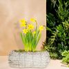 Geschwungener Blumentopf im 2er Set Bild 5