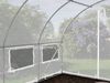 TOOLPORT Foliengewächshaus Gewächshaus 3x8m stabil & langlebig mit Fenster - reißfeste PE Plane 180g/m² weiß transparent Bild 4