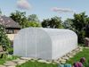 TOOLPORT Foliengewächshaus Gewächshaus 3x8m stabil & langlebig mit Fenster - reißfeste PE Plane 180g/m² weiß transparent Bild 2