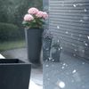 CLP 3er Set Pflanzkübel quadratisch wetterbeständig in Steinoptik mit Ablauf,anthrazit Bild 4