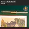 Paulmann 95563 LED Bilderleuchte Mingo 3000K 615x175 mm 11W Altmessing Bild 3