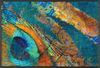 Exotic Pavo Bild 2