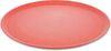 Koziol Großer Teller 4er-Set Connect Plate, Speiseteller, Kunststoff-Holz-Mix, Nature Coral, 25. 5 cm, 7101704 Bild 4