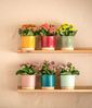 Dehner Übertopf Eno, glasierte Keramik, versch. Farben, runder Indoor Blumentopf in modernem Design Bild 2