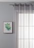Gardinenbox Gardine (2 St), Ösen, transparent, Voile Bild 2