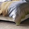 Irisette Feinbiber Bettwäsche Koala 135x200 Streifen beige grau grün 8489-90 Bild 3