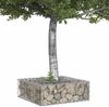 vidaXL Gabionen Hochbeet Silber 60 x 60 x 20 cm Verzinkter Stahl 42033314 Bild 3
