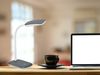 LED Schreibtischleuchte BOA in Grau mit Flex Gelenk & 4-fach Dimmer, 36cm Bild 4