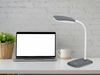 LED Schreibtischleuchte BOA in Grau mit Flex Gelenk & 4-fach Dimmer, 36cm Bild 3