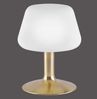 TILL Paul Neuhaus Tischleuchte, messing matt 1xG9 3W 3000K Innenleuchte, IP20 Bild 4