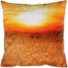 Bestlivings Dekokissen mit Fotodruck ca. 40x40cm, Beidseitig bedruckt, in vielen Motiven verfügbar ( Design: LÖWE / SONNENUNTERGANG ) Bild 2