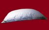 Betten Hofmann Sibiria Winterbett Ballonbett Oberbett Federbett 155x200 cm 3300g Bild 4
