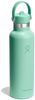 Hydro Flask Trinkflasche 21 OZ Standard Flex Straw Cap, 621 ml, TempShield® doppelwandige Vakuumisolierung Bild 2