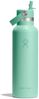 Hydro Flask Trinkflasche 21 OZ Standard Flex Straw Cap, 621 ml, TempShield® doppelwandige Vakuumisolierung Bild 1