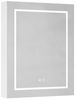 radelldar Spiegelschrank LED Badspiegelschrank mit Stauraum, Hängender Medizinschrank (1-St) mit 3 Lichtfarben & Speicherfunktion, 60 x 76 cm Bild 4