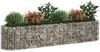 vidaXL Gabionen-Hochbeet Verzinktes Eisen 260x50x50 cm 152026 Bild 3