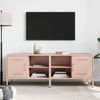 vidaXL TV-Schränke 2 Stk. Rosa 68x39x50,5 cm Stahl 842997 Bild 3