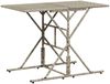 vidaXL 7-tlg. Garten-Essgruppe mit Kissen Hellgrau Poly Rattan 369014 Bild 3