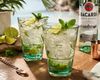 Bacardi Longdrinkglas Bacardi Kunststoffgläser 2er Set – Longdrinkgläser grün transparent, 2-tlg, Cocktailgläser für Mojito, Cuba Libre & Rum Drinks Bild 2
