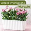 GarPet Blumentopf Orchideentopf Transparent Länglicher Orchideenkasten mit Stufenboden Bild 4