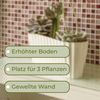 GarPet Blumentopf Orchideentopf Transparent Länglicher Orchideenkasten mit Stufenboden Bild 3