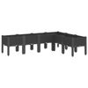vidaXL Pflanzkasten mit Beinen Schwarz 160x120x42 cm PP 367908 Bild 2