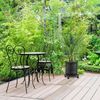 Relaxdays Pflanzenroller rund antik Bild 5