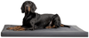 CARLOS VIP Orthopädische Hundematratze - 05 Creme, 100x80cm Bild 2
