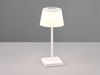 Akku Aussen Tischleuchte in Weiß LED SANCHEZ Lampe mit USB Anschluss Farbwechsler ca. 30 cm Bild 3