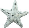 Home-trends24. de Dekokissen Seestern oder Seepferdchen Deko Kissen Couch Stuhl maritim Bild 4