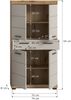 Midischrank B/H/T: 74x141x31 cm in Evoak Oak Nachbildung Bild 4