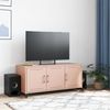 vidaXL TV-Schrank Rosa 100,5x39x43,5 cm Stahl 846645 Bild 3