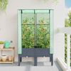 vidaXL Hochbeet mit Gewächshaus-Aufsatz Rattan-Optik 80x40x140 cm 4015833 Bild 3