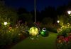 Dapo LED Solarleuchte Dekofigur Chamäleon warmweiß Bild 3