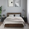 vidaXL Nachttische 2 Stk. Schwarz 40x30x40 cm Holzwerkstoff 848515 Bild 3