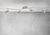 TRANGO LED Deckenstrahler, 4-flammig 2005-042-5W LED Deckenleuchte ANY inkl. 4x 5 Watt GU10 LED Leuchtmittel in Edelstahl-Optik I Deckenlampe I Deckenstrahler I Deckenspots, Lampe schwenkbar und drehbar Bild 3