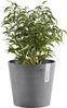ECOPOTS Blumentopf AMSTERDAM Mini Grey, BxTxH: 17x17x14,9 cm Bild 3