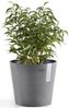 ECOPOTS Blumentopf AMSTERDAM Mini Grey, BxTxH: 17x17x14,9 cm Bild 4