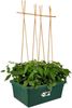 Elho Green Basics Beweglicher Garten - Gemüsegarten - Übertopf - Laubgrün - Draußen - L 76.7 x W 57.9 x H 29 cm Bild 4