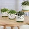 Annastore Übertopf Blumenübertöpfe in witzigem Design (Übertöpfe für Zimmerpflanzen), Blumentöpfe - Übertöpfe aus Keramik - Lustige Blumentöpfe Bild 2
