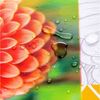 laro Tischdecke Wachstuch-Tischdecken Abwaschbar Maya Sommerblume – gelb rechteckig Bild 3