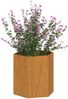 vidaXL Pflanzkübel Rostig 40x40x45 cm Cortenstahl 823674 Bild 3