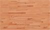 vidaXL Tischplatte 100x60x1,5 cm Rechteckig Massivholz Buche 3188892 Bild 2