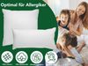 Dreamstar 3-Kammer-Kopfkissen Daunenkissen 40x80 & Daunenkopfkissen 80x80, entwickelt in Deutschland, Füllung: weiße, neue Daunen & Federn Klasse I, 60% Daunen/ 40% Federn (Außen), 100% Federn (Innen), Bezug: 100% Baumwolle, Rückenschläfer, Seitenschlä... Bild 1