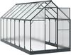 vidaXL Garten Gewächshaus mit Tür Anthrazit 183,5 x 423,5 x 207 cm 3433045 Bild 2