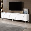 Dreidimensional geschwungenen Linien,TV-Schrank Lowboard Vier Türen zwei separate Staurräume Metallfüße Wohnzimmer Bild 4