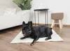 Dandy Dog Hundedecke Balance Soft Cream Größe L Bild 4