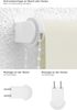 Lysel Outlet - Basisrollo Tageslicht Hellelfenbein, (B x H) 62.50cm x 190cm in beige/hellelfenbein Bild 3